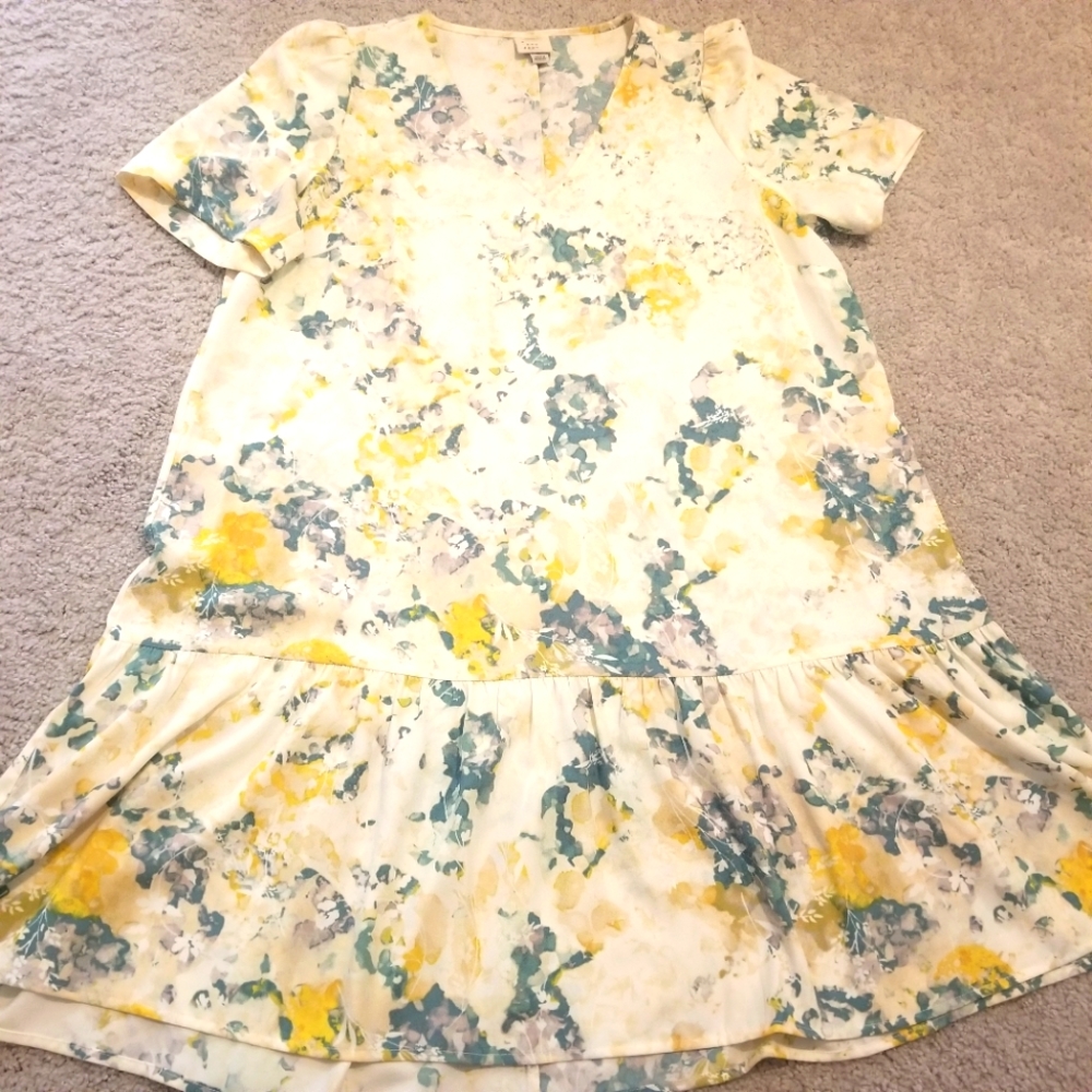 Spring summer drop waist dress